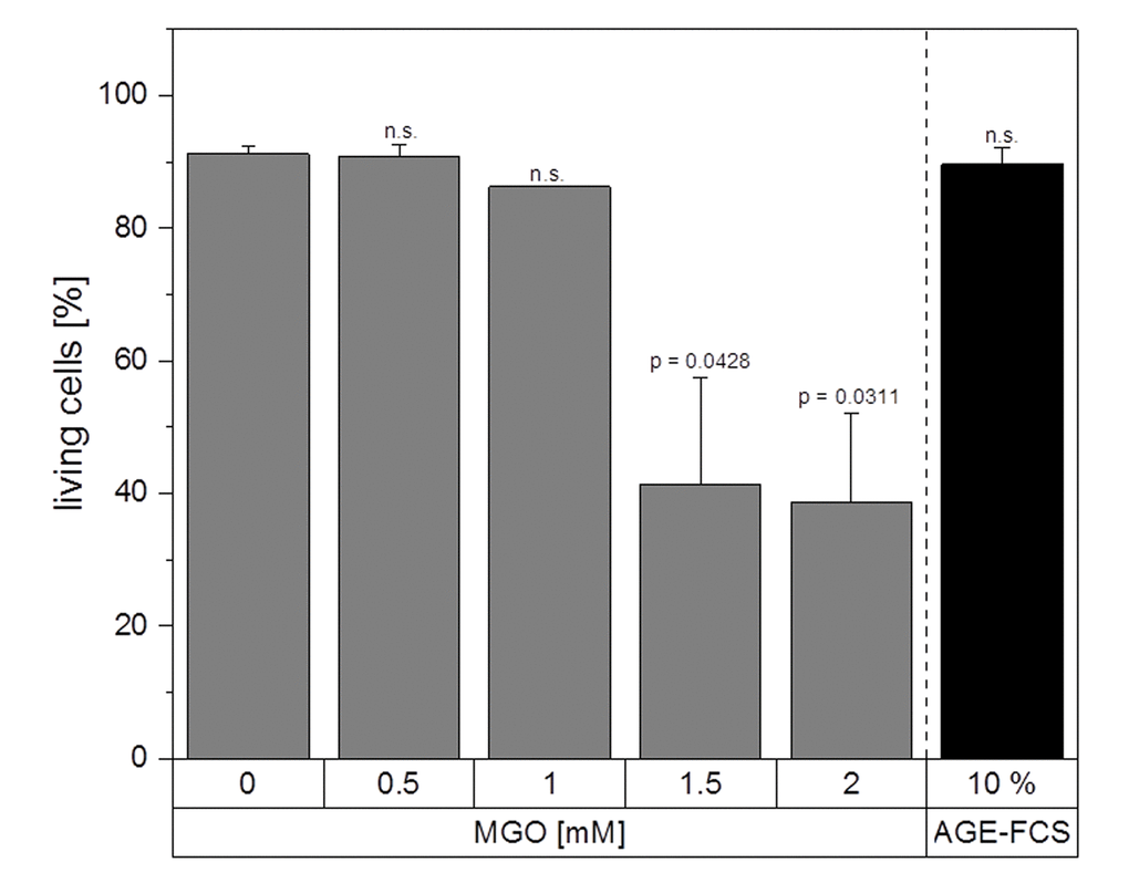 Apoptosis assay. THP-1 macrophages (M0) were treated with different MGO concentrations or 10% AGE-FCS for 24 h and apoptosis assay was performed using 7AAD and Annexin V staining. The percentage of Annexin V- / 7AAD- cells was used to determine the intact living cells (= non-apoptotic and non-necrotic). Graph shows average mean + SD of 3 independent experiments.