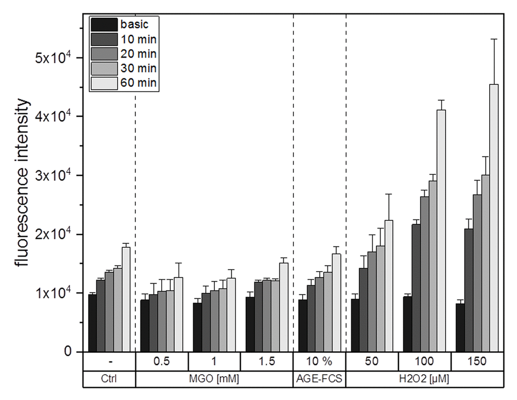 ROS production after glycation. THP-1 macrophages (M0) were treated with different MGO concentrations, 10% AGE-FCS or different concentrations of H2O2 for up to 60 min. Production of intracellular ROS was determined using fluorescent probe H2DCFDA and measurement of fluorescence intensity. Basic measurement represents fluorescence intensity after loading of the cells with H2DCFDA but without addition of any treatment. Shown is one representative graph of 3 independent measurements. Data represents average mean + SD of 5 technical replicates.