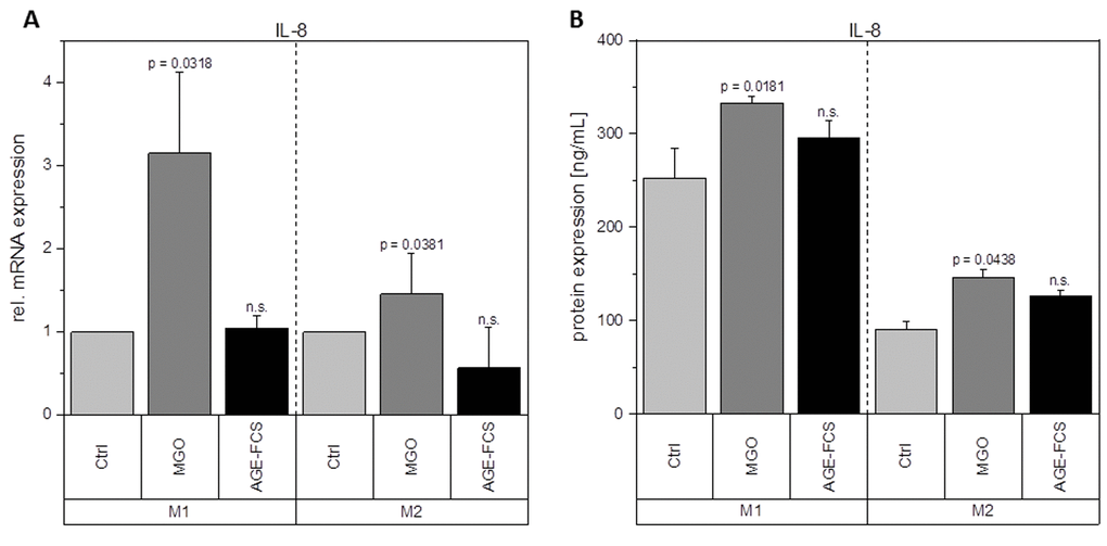 Expression of IL-8 after glycation. THP-1 macrophages were glycated with 1 mM MGO or treated with 10% AGE-FCS and polarized in M1 or M2 phenotype. Expression of IL-8 was quantified using qPCR (A). Data was normalized to untreated control cells. Graph shows average mean of relative mRNA expression + SD of 3 independent experiments. Protein secretion of IL-8 was quantified in the cell supernatant using cytometric bead array (B). Graph shows average mean of IL-8 concentration (in ng/mL) + SD of 3 independent experiments.