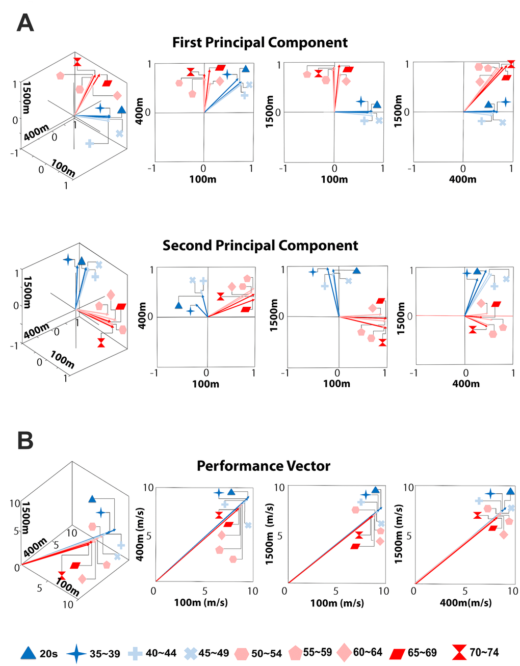 The change in principal components (PCs) and performance. (A) Abrupt changes in the directions of the PCs. Each vector denotes the first or the second PC. Sudden changes in the directions of both the first and the second PCs occur around the age of 50. (B) Gradual decrease in performance. The coordinate of the end point of each vector consists of the mean values of average speed in three track events. Aging gradually diminishes the magnitude of the vector, but hardly changes its direction.