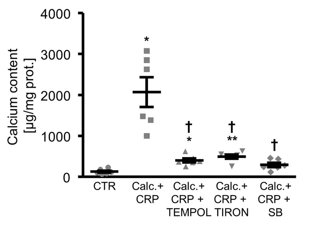 Antioxidants or p38 MAPK inhibition reduce calcification of HAoSMCs promoted by CRP during pro-calcific conditions. Scatter dot plots and arithmetic means ± SEM (n=6; µg/mg protein) of calcium content in HAoSMCs treated with control (CTR) or calcification medium together with 10 µg/ml recombinant human CRP (Calc.+CRP) and without and with additional treatment with 10 µM TEMPOL, 10 µM TIRON or 10 µM p38 MAPK inhibitor SB203580 (SB). *(p