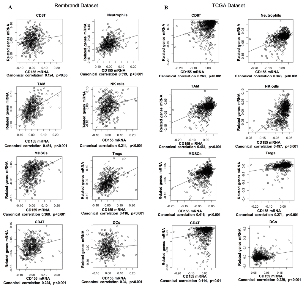 Correlation of CD155 expression with immune cell-specific marker genes in Rembrandt (A) and TCGA (B) datasets. Each open circle represents a single patient with glioma. A regression line was fitted to the dot plot.