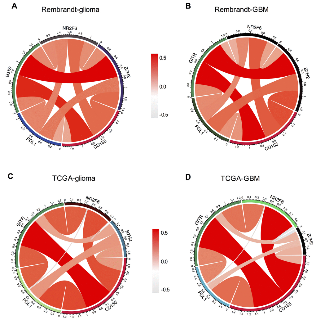 Association between CD155 and immune checkpoint markers in glioma. Correlation between CD155 and immune checkpoint markers (PD-L1, PD-L2, NR2F6, and B7-H2) in gliomas (A) and GBM (B) in Rembrandt dataset were subjected to the analysis. Correlation between CD155 and immune checkpoint markers (PD-L1, PD-L2, NR2F6, and B7-H2) in gliomas (C) and GBM (D) in TCGA were also included.