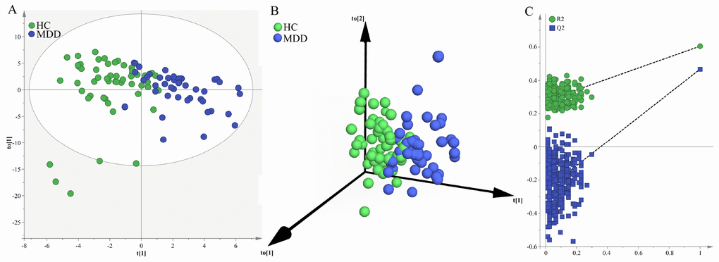 Metabolomic analysis of urine samples from the young populations. (A) OPLS-DA model showed an obvious separation between young HCs (green circle) and young MDD patients (blue circle); (B) 3D view also showed an obvious separation between young HCs (green sphere) and young MDD patients (blue sphere); (C) the permutation test suggested the validity of the model, as the Q2 and R2 values yielded by the permutation test (left bottom) were lower than their original values (upper right).