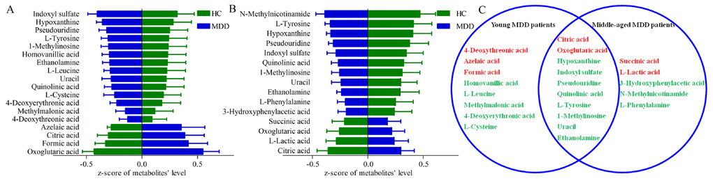 Differential urinary metabolites between the different groups. (A) 18 differential metabolites between young HCs and young MDD patients; (B) 15 differential metabolites between middle-aged HCs and middle-aged MDD patients; (C) eight and five metabolites were only altered in young and middle-aged MDD patients, respectively, and 10 metabolites were altered in both young and middle-aged MDD patients.