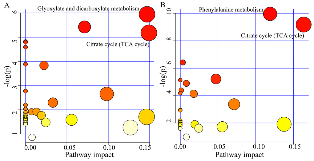Significantly affected pathways founded using online software MetaboAnalyst 3.0 (p-value0.1). (A) Glyoxylate and dicarboxylate metabolism and Citrate cycle (TCA cycle) was significantly affected in young MDD patients; (B) Phenylalanine metabolism and Citrate cycle (TCA cycle) was significantly affected in middle-aged MDD patients.