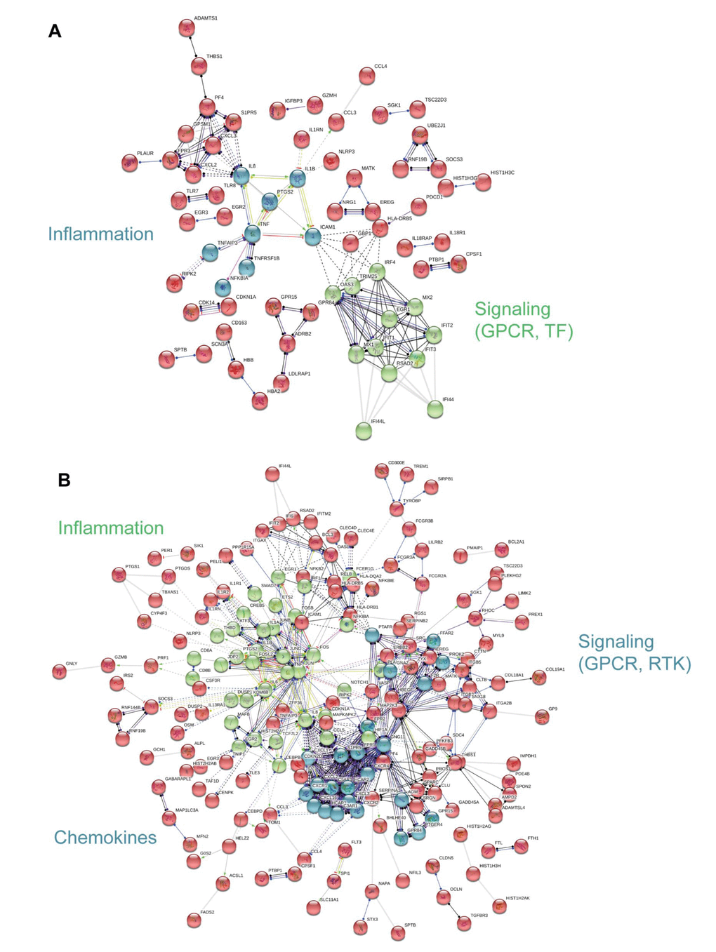 Interaction network analysis of frailty-associated differential gene expression. The interaction network for significant, differentially expressed protein coding genes with frailty in blacks (A) and whites (B) is shown. Network nodes represent proteins and lines (edges) represent protein-protein interactions. The solid lines represent direct interactions between proteins, dashed lines represent indirect interactions between proteins, grey lines represent putative protein interactions. The line colors represent the molecular action type: green (activation), dark blue (binding), black (reaction), red (inhibition), purple (catalysis), yellow (transcriptional regulation). The action effect is represented by the shape at the end of the line: arrow head (positive), perpendicular line (negative), dot (unspecified). The prominent functional clusters in blacks and whites are indicated.