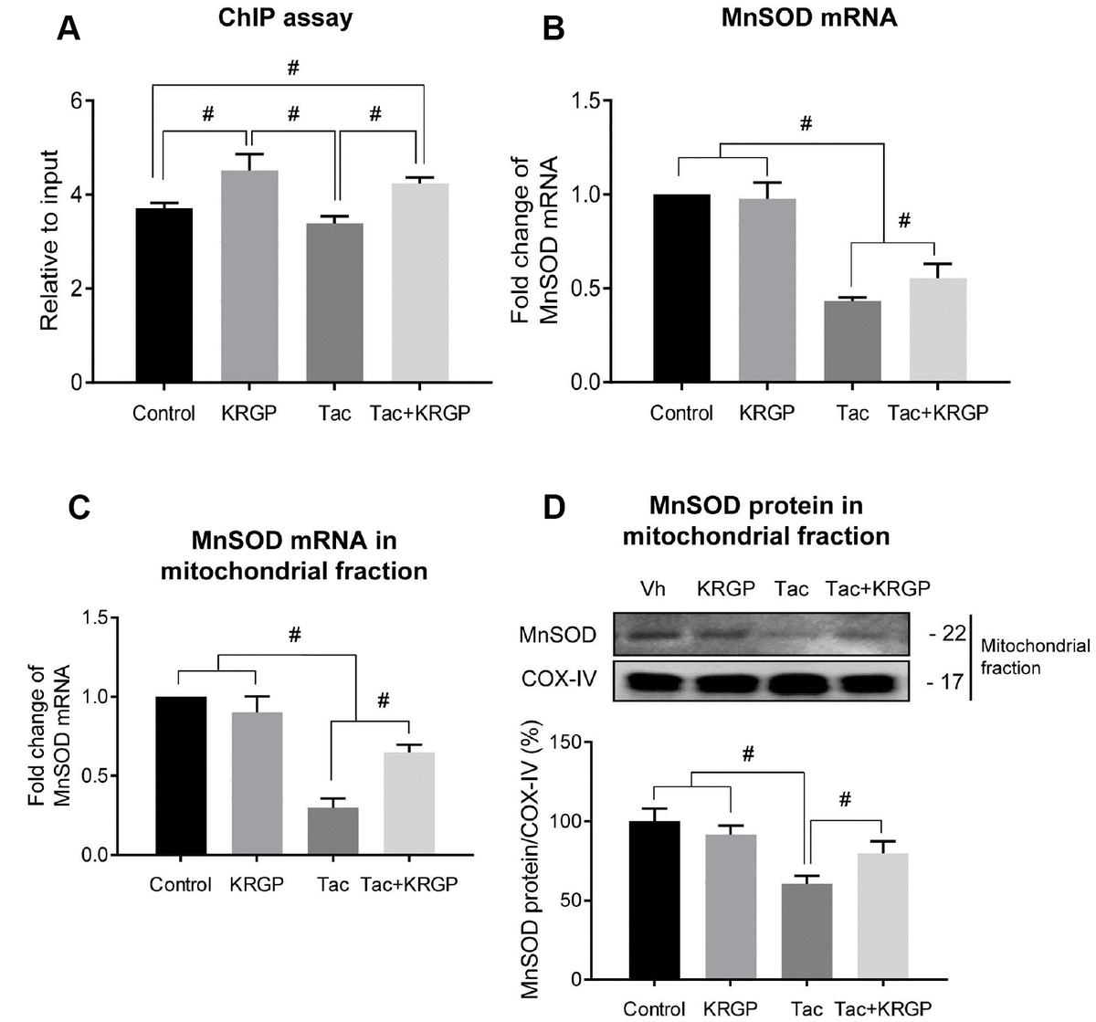 Ginseng increases Klotho expression by FoxO3mediated manganese