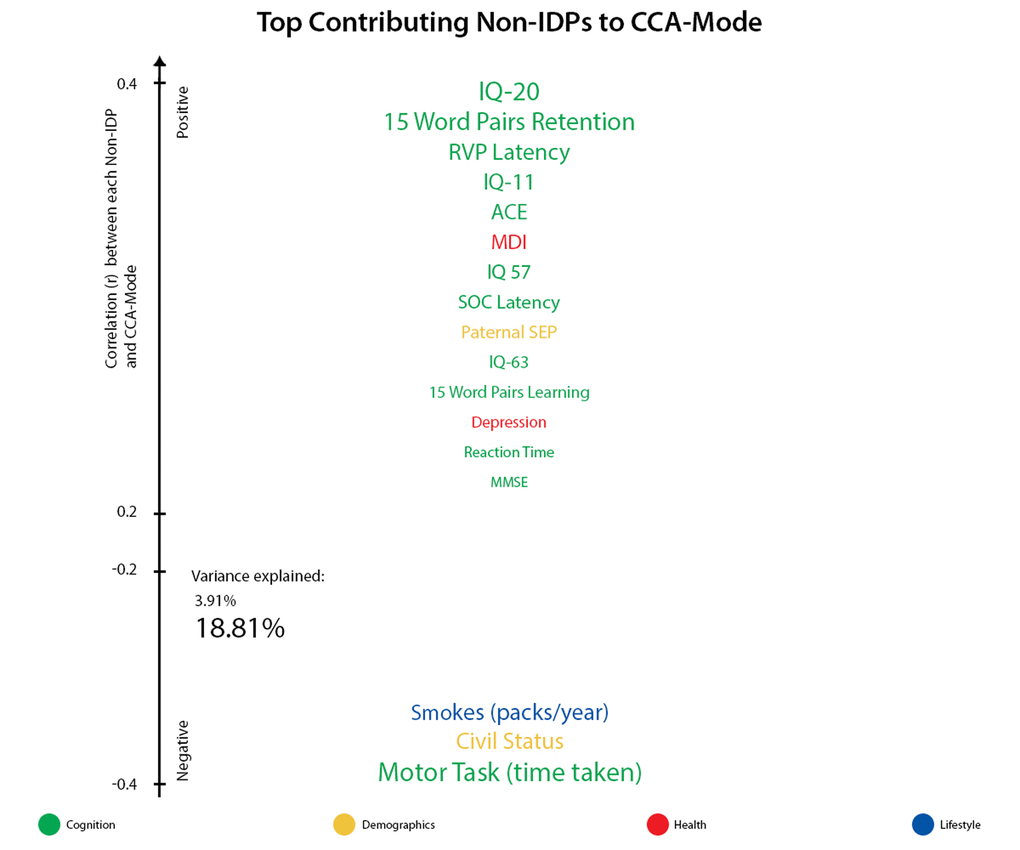 Top contributing non-IDP variables to CCA-mode. Individual non-IDP measures most strongly associated with the identified CCA-mode of population covariation. The CCA-derived weights visualized indicate how much each measured variable contributes to the significant CCA-mode i.e., the measure of the strength of involvement of an observed variable to the CCA-mode. Non-IDPs are colored according to their assigned subdomains (cognition = green, demographic = yellow, health = red, lifestyle = blue). The vertical position of each variable is related to the scale of the association of that specific measure with the identified CCA-mode. Font size is indicative of variance explained by the CCA-mode. Here we do not report variables that attain a correlation value between 0.2 to -0.2.
