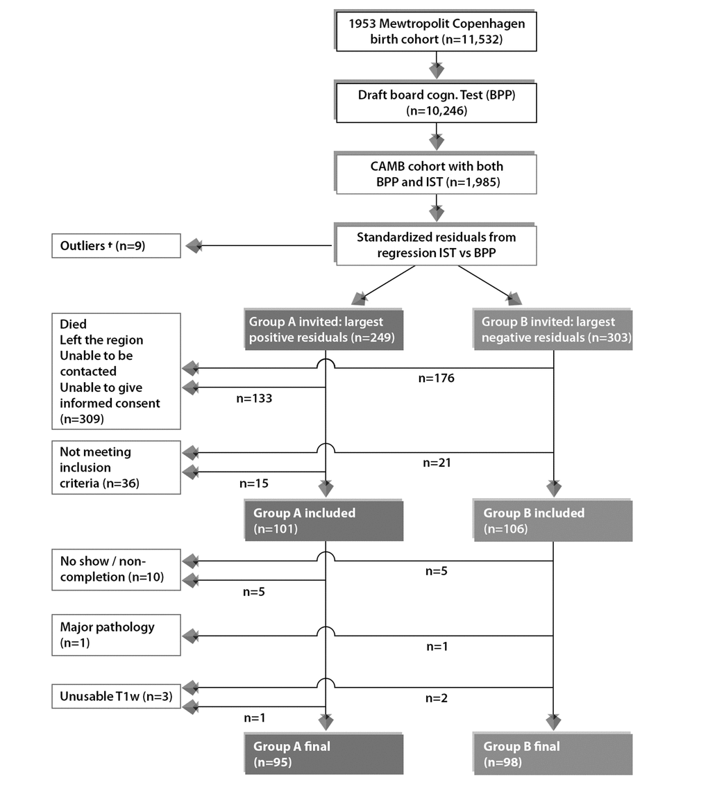 Subject selection process for current study from the 1953 Metropolit Danish Male Birth Cohort based on the “Extreme Group Design”. To avoid effects of extreme test scores, subjects with standardized residuals ±3 were omitted, defined as here as †. The final sample size for the current study includes n=193 subjects consisting of n=95 improvers and n=98 decliners in cognitive function from youth to late midlife.