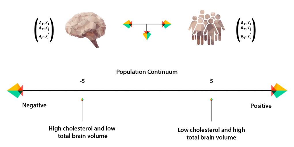 Population continuum. CCA estimates a “population continuum” of covariation across subjects that jointly characterizes brain imaging and other (non-imaging) data through a single axis. We can describe each subject’s relation to this axis by assessing the value and polarity assigned to their individual CCA-derived subject weight and further evaluating how this value is related to the observed IDP and non-IDP measures. In this example, subjects with negative subject weights are characterized by high total cholesterol levels and low total brain volume, whereas subjects assigned with positive subject weights are characterized by low total cholesterol levels and higher total brain volume.