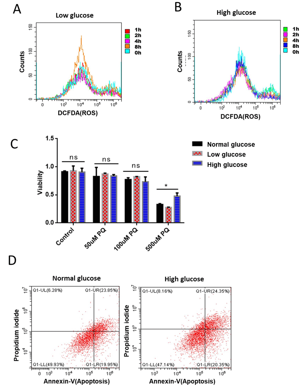 Glucose suppression of ROS is conserved in mammalian cells. (A) Short term rapamycin treatment increased intracellular ROS levels. Mouse embryonic fibroblasts (NIH3T3) cultured in medium supplemented with 1g/L glucose were treated with 100nM rapamycin for 1, 2, 4, and 8 hours. ROS levels were measured by staining cells with 2,7′–dichlorofluorescin diacetate (DCFDA), followed by flow cytometry analysis. (B) High glucose suppressed rapamycin-induced ROS in mouse embryonic fibroblasts. Mouse embryonic fibroblasts (NIH3T3) cultured in medium supplemented with 8g/L glucose were treated with 100nM rapamycin for 1, 2, 4, and 8 hours. ROS levels were measured by staining cells with 2,7′–dichlorofluorescin diacetate (DCFDA), followed by flow cytometry analysis. (C) High glucose suppressed ROS-induced cell death in mouse embryonic fibroblasts. NIH3T3 cells maintained in low (1g/L), normal (4g/L) and high glucose (8g/L) were treated with indicated concentrations of ROS-generator paraquat for 24 hours. Cell viability was detected by Cell Counting Kit-8 (CCK-8) assay. Means of 3 independent experiments were plotted with error bars showing the standard deviation. P value by student’s t-test: *, PD) Apoptosis was not significantly repressed by glucose. NIH3T3 cells maintained in normal (4g/L) and high glucose (8g/L) were treated 500μM ROS generator paraquat for 24 hours to induce cell apoptosis. Cell viability was measured by Propidium iodide (PI) staining and apoptosis were detected by Annexin V-FITC followed by flow cytometry analysis.