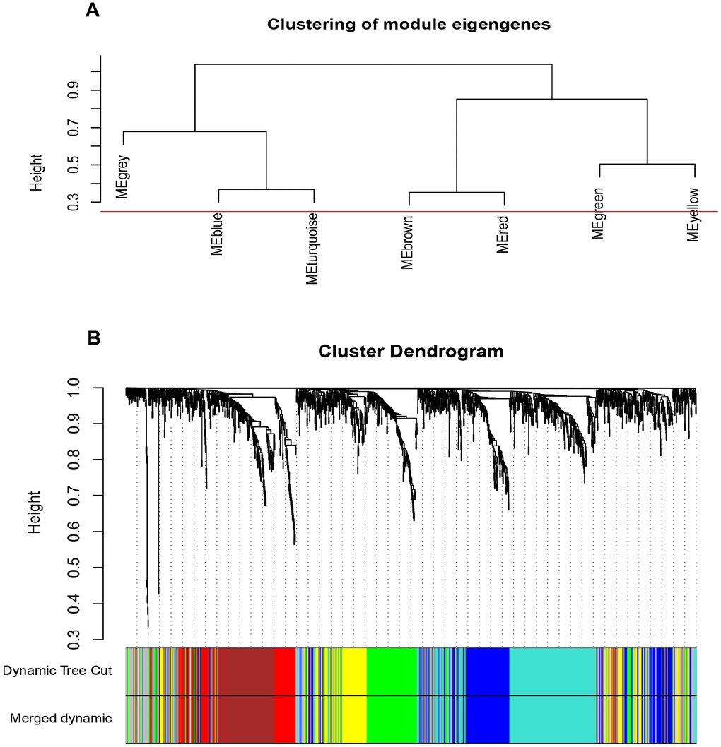 Construction of WGCNA co-expression modules. (A) The cluster dendrogram of module eigengenes. (B) The cluster dendrogram of the common differentially expressed genes in GSE66272. Each branch in the figure represents one gene, and every color below represents one co-expression module.