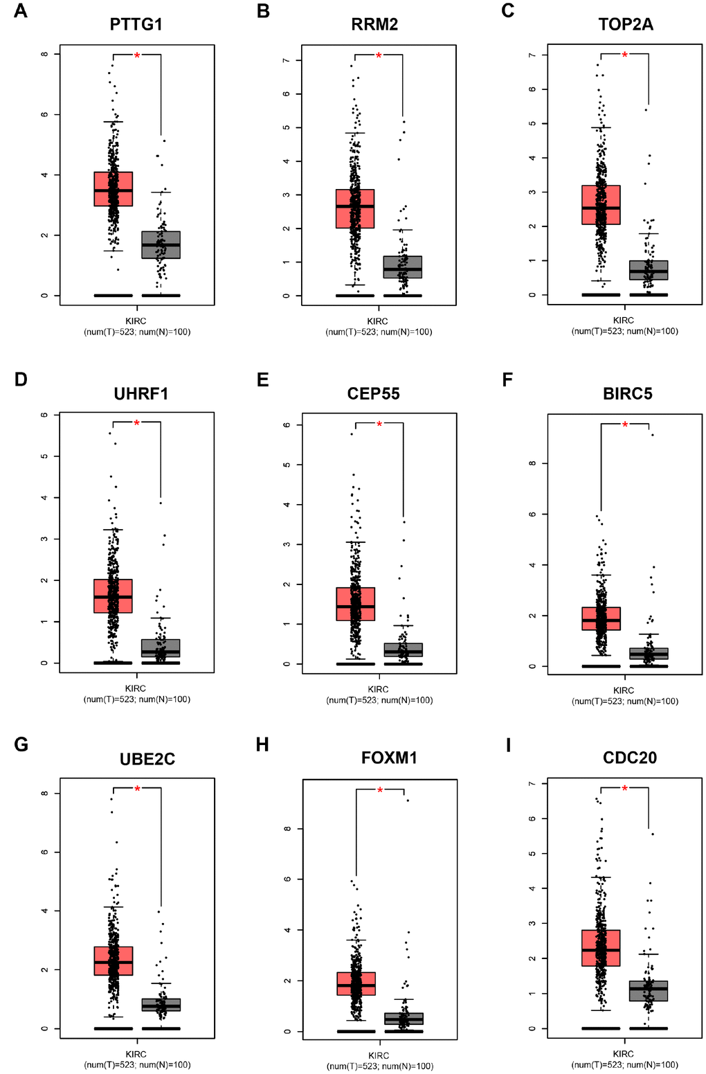 Validation of the gene expression levels of PTTG1, RRM2, TOP2A, UHRF1, CEP55, BIRC5, UBE2C, FOXM1 and CDC20 between normal kidney and ccRCC tissues in GEPIA database. (A–I) PTTG1, RRM2, TOP2A, UHRF1, CEP55, BIRC5, UBE2C, FOXM1 and CDC20 are significantly upregulated in ccRCC compared with normal tissues (P P 