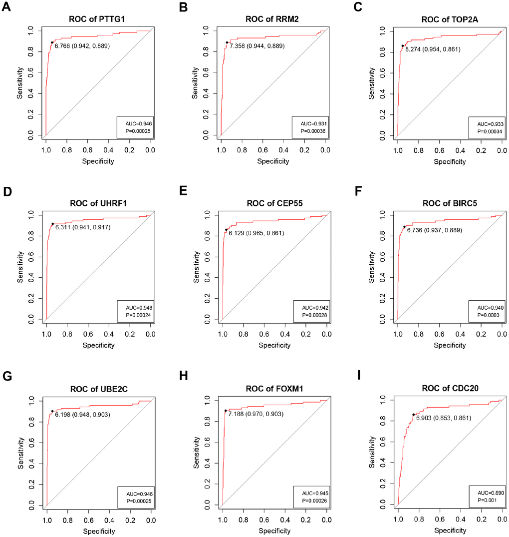 ROC curve analysis of 9 key genes diagnosis. Receiver operating characteristic (ROC) curves and area under the curve (AUC) statistics are used to evaluate the capacity to discriminate ccRCC from normal controls with excellent specificity and sensitivity in TCGA dataset. (A) PTTG1, (B) RRM2, (C) TOP2A, (D) UHRF1, (E) CEP55, (F) BIRC5, (G) UBE2C, (H) FOXM1, (I) CDC20.