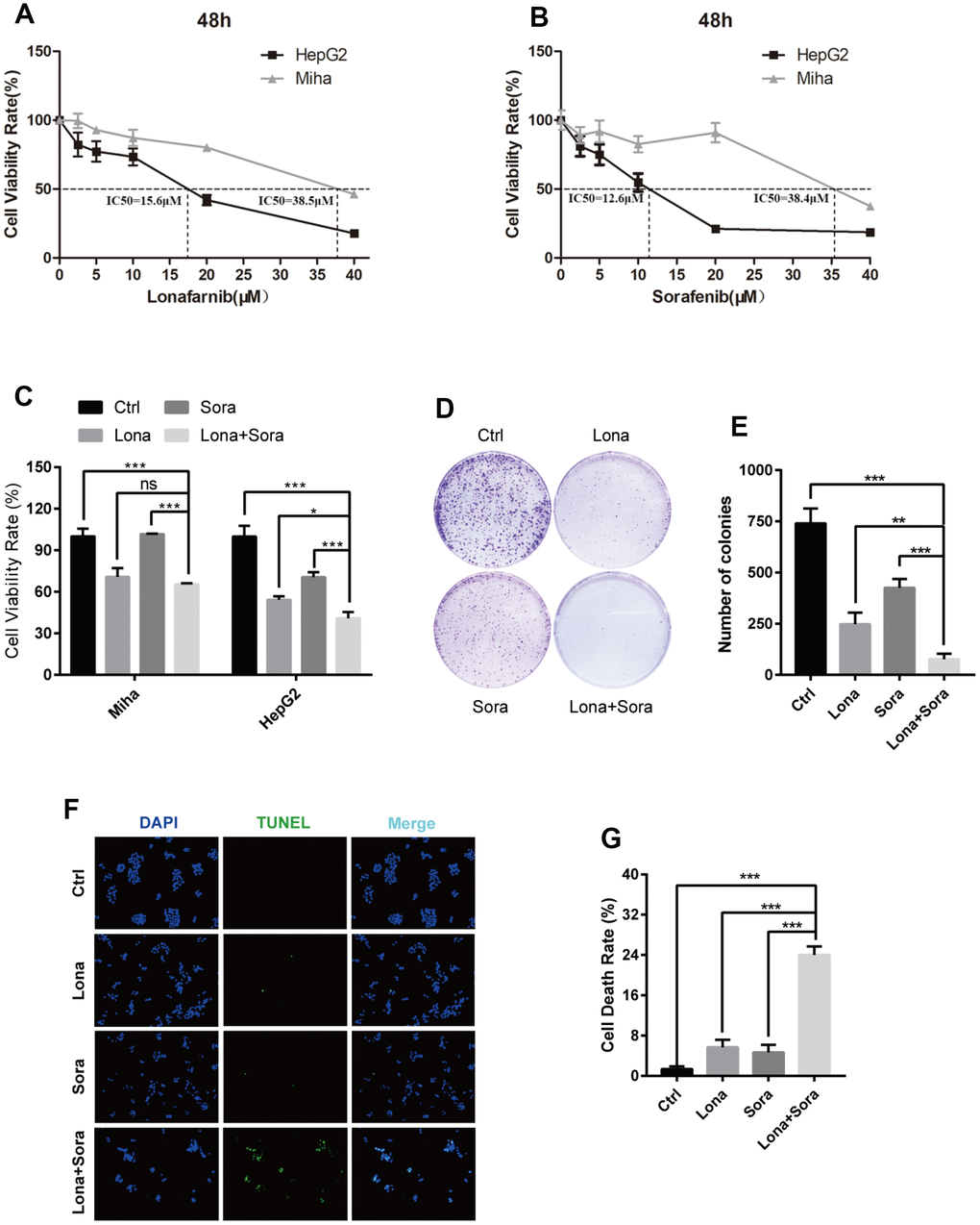 The combination of lonafarnib and sorafenib induces cyclin D1