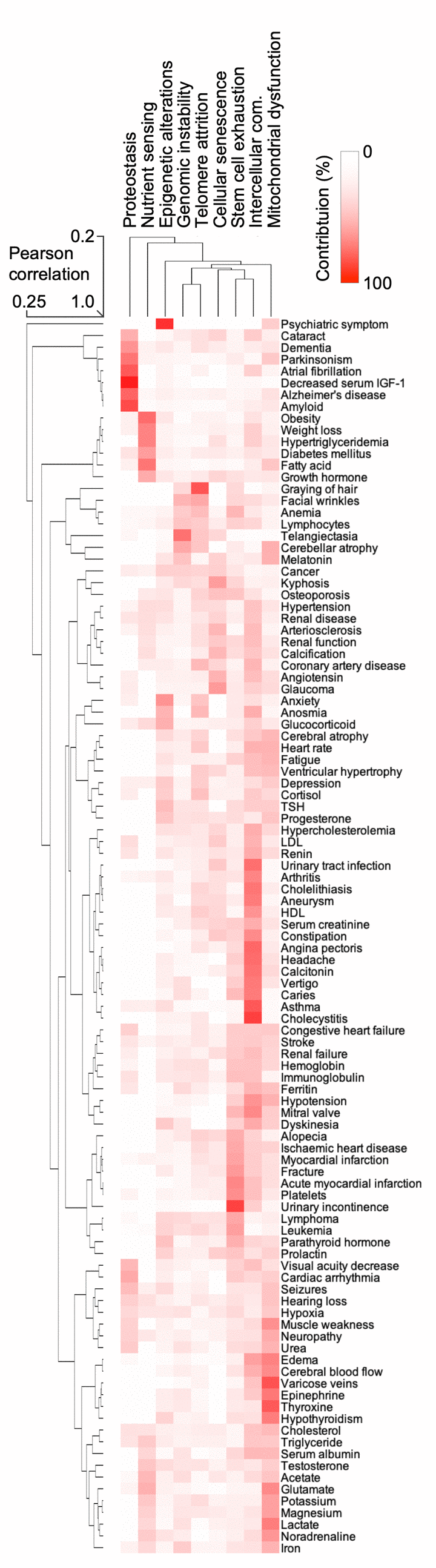 The hallmarks of aging are associated with certain human features. Heatmap and cluster analysis of the association between age-associated clinical terms and hallmarks of aging.