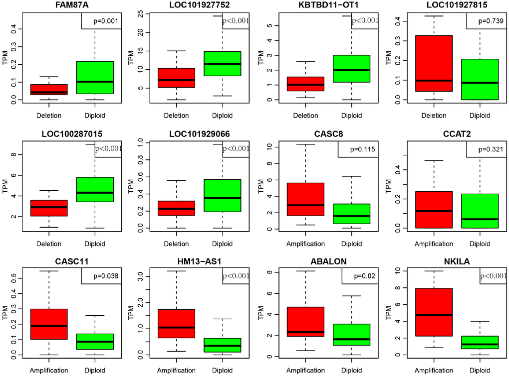 Deregulation of lncRNAs induced by copy number deletions or amplifications (P Green (diploid) represents normal copy. Red (deletion or amplification) represents the variant copy.