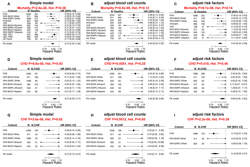 Meta-analysis forest plots for predicting time-to-death due to all-cause mortality and time-to-cardiovascular disease in independent validation data. Meta-analysis forest plot for combining Cox regression hazard ratios for time-to-death, time-to-coronary heart disease (CHD), and time-to-congestive heart failure (CHF), based on age-adjusted DNAmTL (DNAmTLadjAge). The sample sizes for the analysis were up to 9,044 methylation arrays (8,541 individuals) across 8 cohorts. Left panels, middle panels, and right panels report meta-analysis results for (1) simple Cox regression models, (2) multivariate Cox models adjusted for blood cell counts, and (3) multivariate Cox model adjusted for traditional risk factors, respectively. Each row reports the hazard ratio associated with DNAmTLadjAge. (1) The simple Cox models (left panels) were adjusted for chronological age, sex and adjusted for intra-pedigree correlation and batch effects as needed. (2) The models in the middle panels involved additional covariates: imputed blood cell counts based on DNA methylation data. (3) The models in the right panels different from those of (1) by additional demographic characteristics, psychosocial behavior, and clinical covariates (Methods). Each panel reports a meta-analysis forest plot for combining hazard ratios associated with time to event. Each row presents the summary statistic at a (stratified) study dataset and reports sample size (N), number of events, hazard ratio and a 95% confidence interval resulting from a Cox regression model. In general, an insignificant Cochran Q test p-value (denoted by Het. P) is desirable.