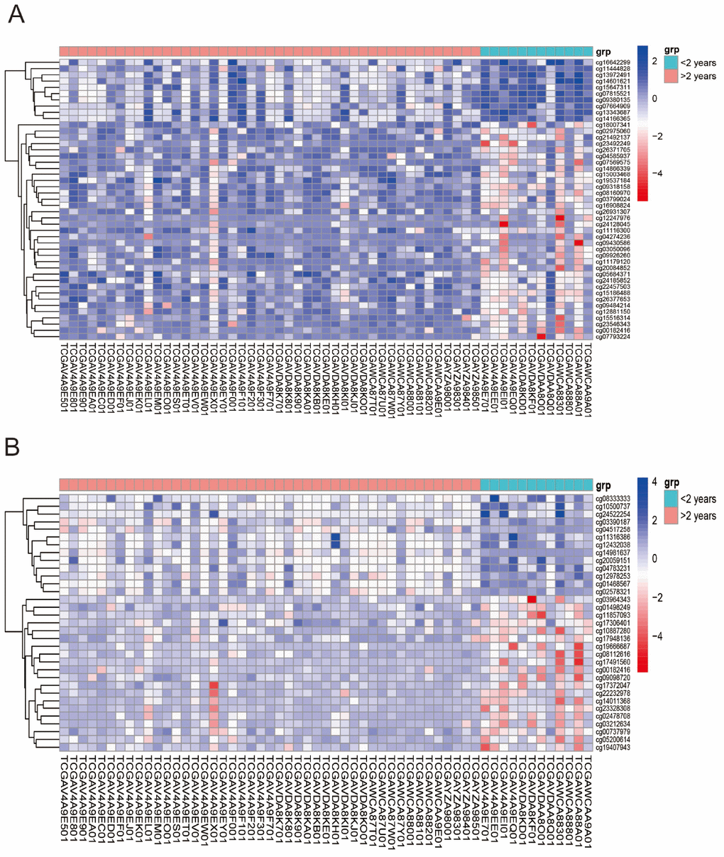 Unsupervised hierarchical cluster in the analysis of differentially methylated miRNAs target genes (A) and genes co-expressing with lncRNAs (B) in UVMs Alive  2 years group control. Values from samples are presented horizontally, left (red) for Alive > 2 years patients while the right (green) for Alive 