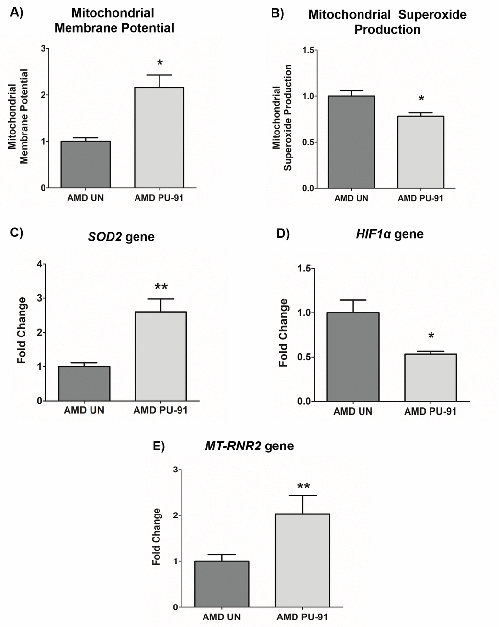 PU-91 regulates mitochondrial function. We used the fluorometric JC-1 assay and MitoSOX assay to measure mitochondrial membrane potential and mitochondrial superoxide production, respectively. Treatment with PU-91 led to elevated mitochondrial membrane potential (p≤0.05, n=3) (A) and reduced mitochondrial superoxide production (p≤0.05, n=3) (B) in AMD cybrids (AMD PU-91) compared to the untreated group (AMD UN). Furthermore, PU-91-treated AMD cybrids showed upregulation of the mitochondrial superoxide dismutase, SOD2 gene (p≤0.05, n=5) (C) and reduced expression of HIF1α gene (p≤0.05, n=3-4) (D). (E) PU-91 upregulates MT-RNR2 gene. Using TaqMan probe for the MT-RNR2 gene, qRT-PCR analysis revealed that PU-91 increases MT-RNR2 gene expression by 104% compared to untreated control (p≤0.05, n=5). Data are presented as mean ± SEM and normalized to untreated (UN) AMD cybrids which were assigned a value of 1. Mann-Whitney test was used to measure statistical differences; *p≤0.05, **p≤0.01.