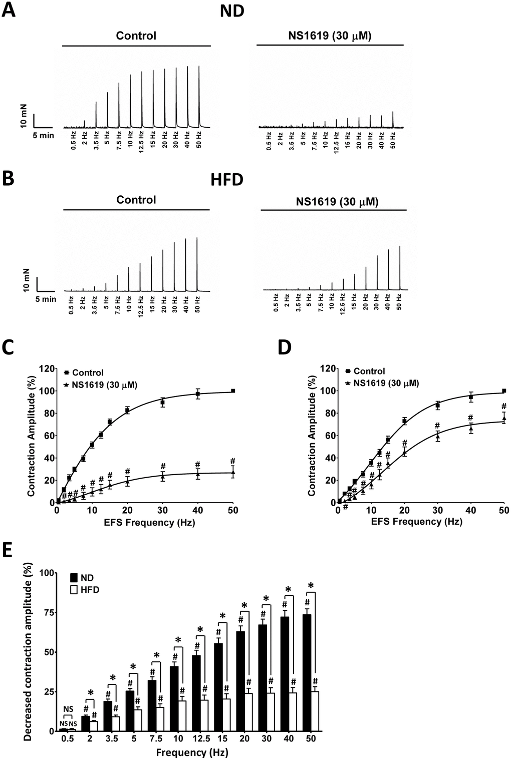 The inhibitory effects of NS1619 on EFS-induced contractions are attenuated in HFD DSM strips. Original recordings of DSM strips demonstrating the inhibitory effects of NS1619 (30 μM) on EFS-induced contractions (stimulation frequency 0.5-50 Hz) in the ND (A) and HFD (B) groups. The frequency response curves illustrate the differences in amplitude of EFS-induced contractions in the presence and absence of 30 μM NS1619 in ND (C) and HFD (D) DSM strips.(E) Summary data illustrating the inhibitory effects of 30 μM NS1619 on EFS-induced contractions at the highest stimulation frequency (50 Hz) in isolated DSM strips from both groups. Data are expressed as the mean ± SEM; n = 12, N = 7 in the ND group, n = 13, N = 7 in the HFD group; * P NS: not significant.