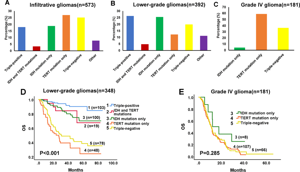 Proportion and Kaplan-Meier survival analyses of molecular groups in diffuse infiltrative gliomas. Survival proportions in infiltrative (Grade II-IV) gliomas (A), lower-grade (Grade II-III) gliomas (B), and Grade IV glioma (C). (D) Kaplan-Meier OS curves in lower-grade gliomas. OS estimates for the 5 molecular groups are significantly different (P E) Kaplan-Meier OS curves in Grade IV glioma. No differences in OS were detected for the 3 molecular groups (P = 0.285).