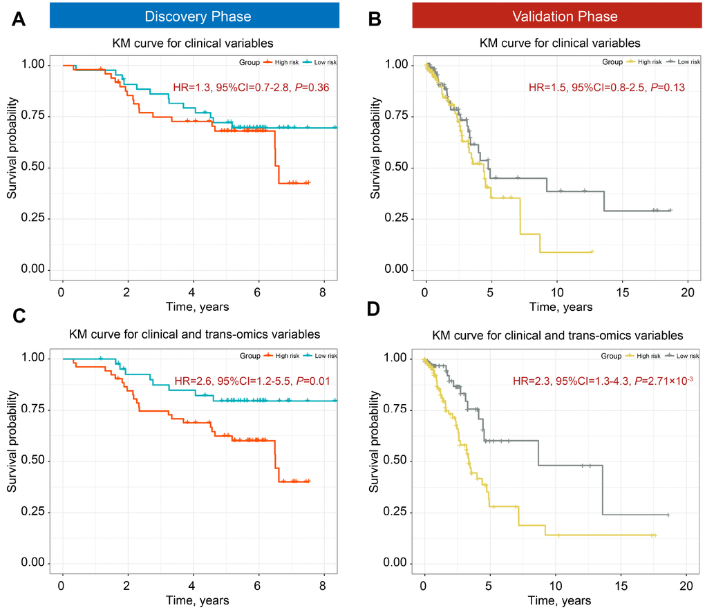 Kaplan-Meier (KM) survial curves of high- and low-mortality risk groups divided by iCluster. Classification ability of clinical information for discovery (A) and validation phases (B). Distinction ability of clinical information adding trans-omics biomarkers of DNA methylation and gene expression for the discovery (C) and validation phases (D).