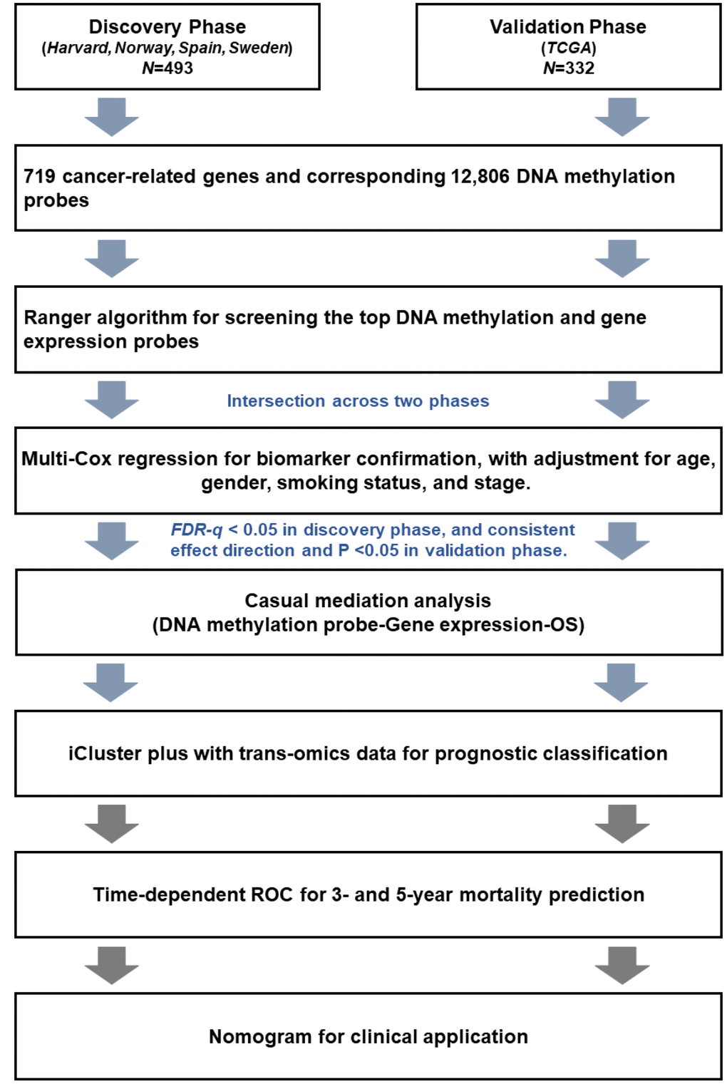 Flow chart of the study.