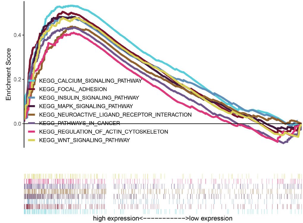 GSEA identifies eight representative pathways enriched in AGC samples with high CASC19 expression.