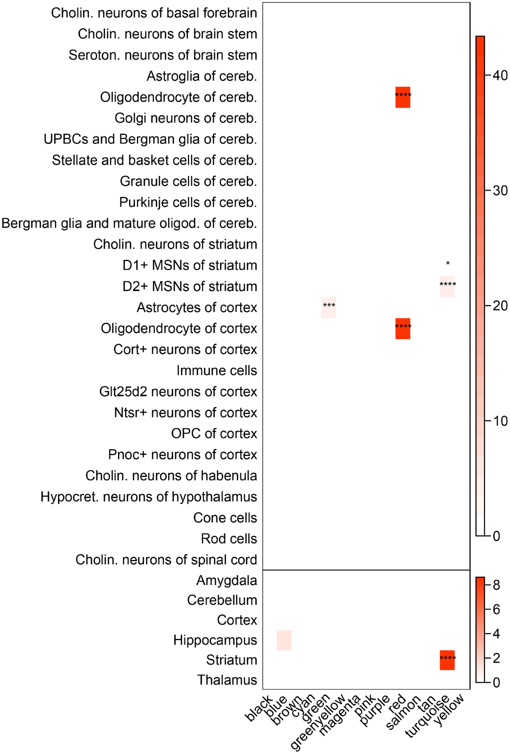 Enrichment of brain regional and cell-type markers in caudate modules. (Top) Enrichment of caudate modules in markers of various neuronal and glial cell types. (Bottom) Same as above, but using markers for different brain regions. Asterisks indicate significant enrichment after Bonferroni adjustment. *P **P ***P ****P 