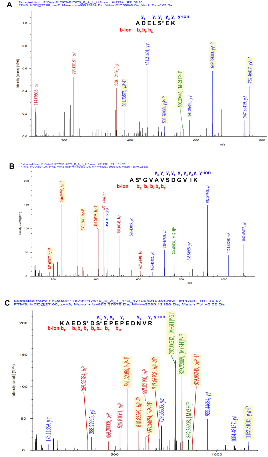 Representative MS/MS spectra of phosphopeptides. (A) 2ADELS*EK8 ([M + 2H]2+, m/z = 609.28284, S* = phosphorylated serine residue) derived from CAV1 (Swiss-Prot No.: C9JKI3). (B) 2AS*GVAVSDGVIK13 ([M + 2H]2+, m/z = 764.89862, S* = phosphorylated serine residue) derived from CFL1 (Swiss-Prot No.: E9PS23). (C) 419KAEDS*DS*EPEPEDNVR434 ([M + 3H]3+, m/z = 862.37878, S* = phosphorylated serine residue) derived from XRN2 (Swiss-Prot No.: B4E0B9).