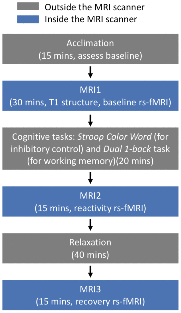 Experimental protocol to induce acute stress.