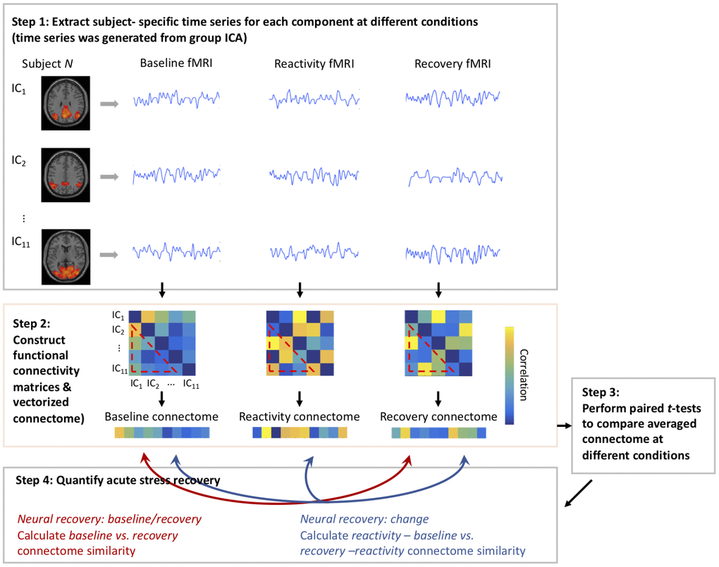 Schematic of using pattern-based similarity analysis to assess neural recovery.