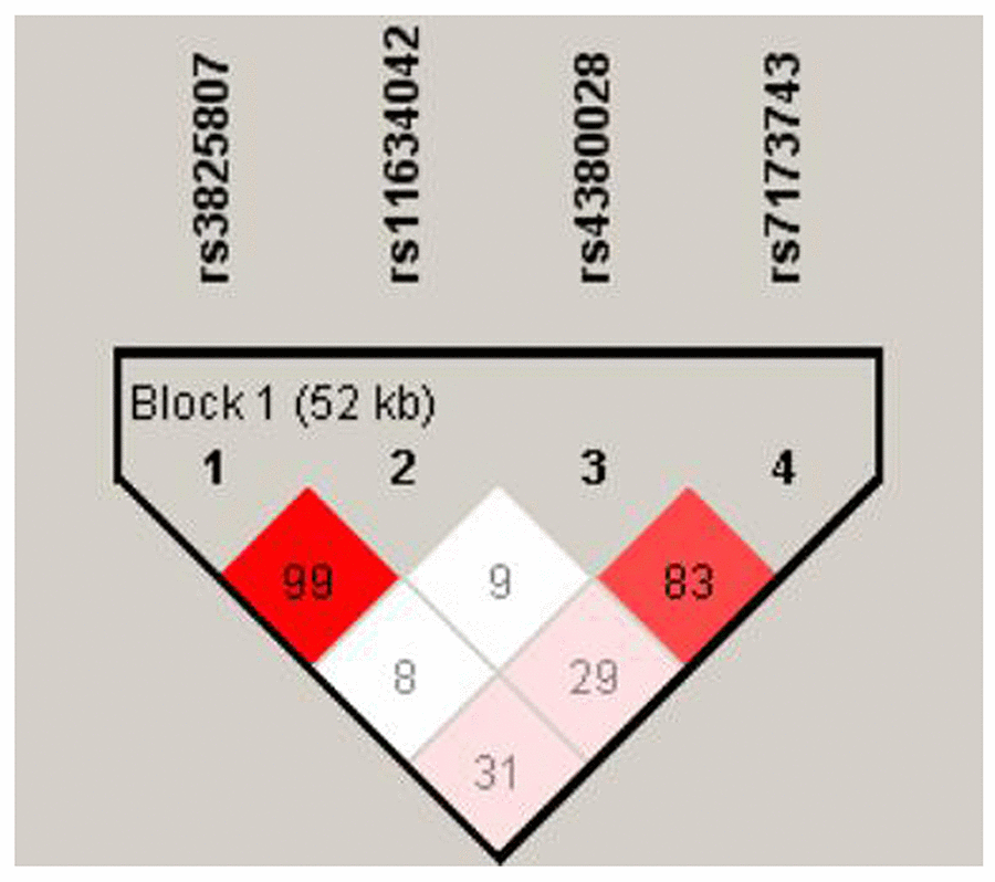 The linkage pattern of polymorphisms in ADAMTS7 gene. The shade of the diamonds represents the pairwise r2 between the two SNPs as defined by the top left and top right sides of the diamond. Shading represents the magnitude of the pairwise r2, with red shades reflecting high r2 (>0.80) and white shades reflecting low r2.