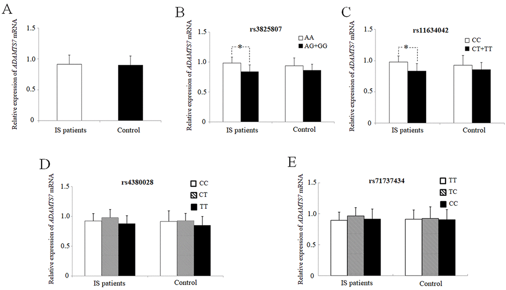 Mean values ± SD of relative ADAMTS7 mRNA in PBMCs from IS patients (IS, n = 87) and healthy subjects (controls, n = 50). the blank box and the black box represent the relative expressions of adamts7 in IS patients and controls, respectively, and the median is indicated by a bar across the box. p=0.63 when comparing relative adamts7 mRNA levels between IS patients and controls. mean values ± sd of adamts7 mRNA in pbmcs from IS patients and healthy subjects stratified according to the genotypes and alleles of rs3825807 (B) (*p = 0.025), rs11634042 (C) (*p = 0.045), rs4380028 (D) and rs7173743 (E), respectively. an asterisk indicates p 