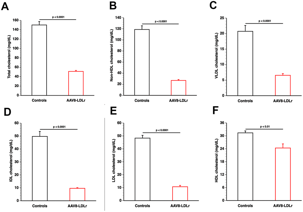 AAV8-LDLr gene transfer normalizes lipoprotein cholesterol levels in C57BL/6 LDLr-/- mice. Bar graphs illustrating total cholesterol (A), non-HDL cholesterol (B), VLDL cholesterol (C), IDL cholesterol (D), LDL cholesterol (E), and HDL cholesterol (F) plasma levels in C57BL/6 LDLr-/- mice at day 10 after AAV8-null gene transfer (controls) or AAV8-LDLr gene transfer. Lipoproteins were isolated by ultracentrifugation. Data are expressed as means ± SEM (n=7).