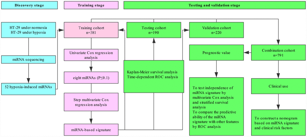 Study flowchart.