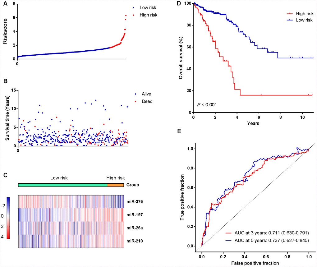 Identification of a four-miRNA signature was significantly associated with OS of CRC patients in the training cohort. (A–C) Risk score distribution, survival status, and miRNA expression patterns for patients in high-risk and low-risk groups by the miRNA signature. (D) Kaplan-Meier curve analysis of OS of CRC patients in high-risk and low-risk groups. (E) Time-dependent ROC curves analysis. We used AUCs at 3 and 5 years to assess the prognostic accuracy, and calculated P values using the log-rank test.