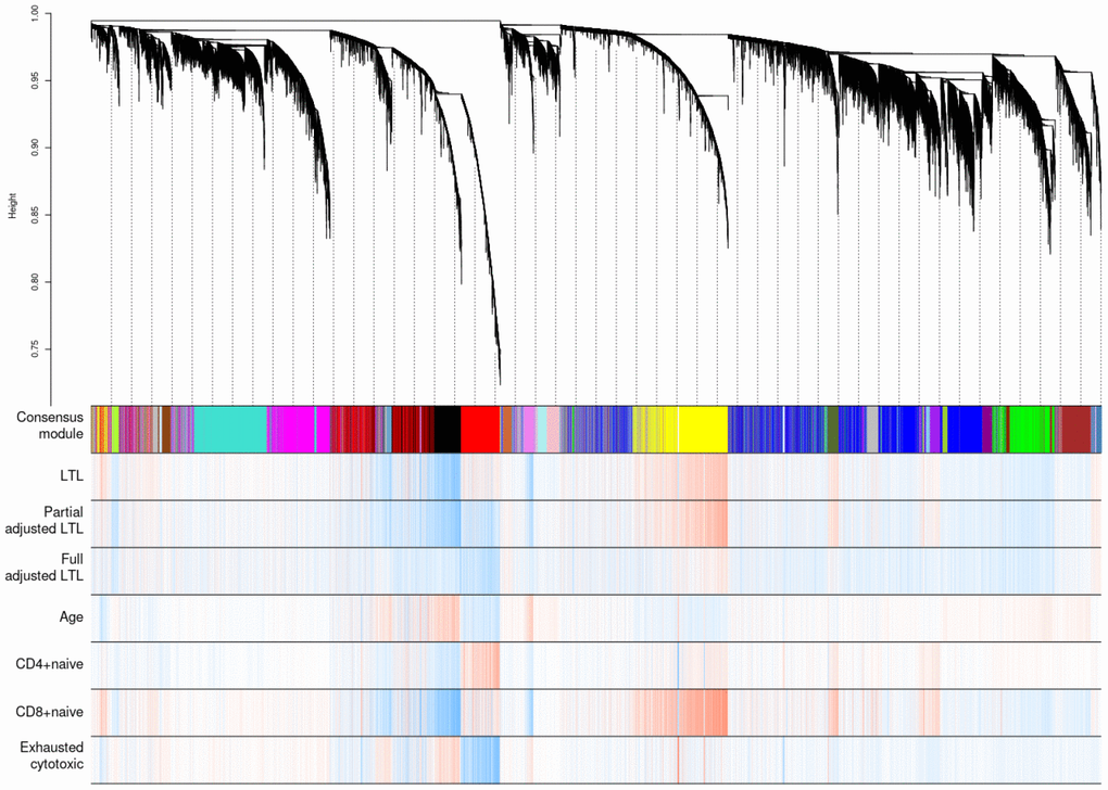 Hierarchical clustering of CpG sites by weighted gene co-expression network analysis (WGCNA). Each data point on the x-axis of the dendrogram refers to an individual CpG site. The color band ‘Consensus module’ displays co-methylated modules (clusters) in different colors. The other color bands highlight the degree of correlations between DNA methylation of CpG sites and traits of interest. Red represents a positive correlation, whereas blue represents a negative correlation.