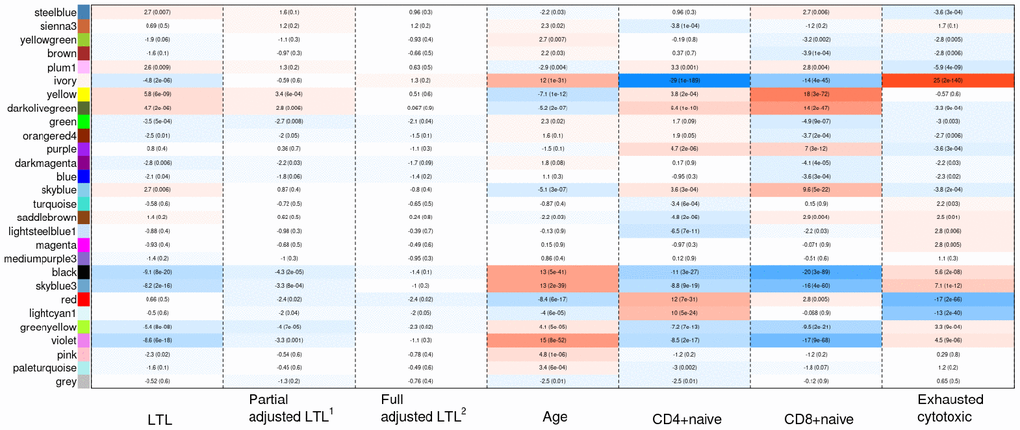 Heat map of correlations between the co-methylated module representatives and LTL, the partially adjusted LTL, the fully adjusted LTL, age, and blood cell counts. The numbers in the cells refer to meta-Z scores and their corresponding p-values. Meta-Z scores were calculated based on biweight midcorrelations between DNAm and a trait of interest in the six strata. 1Partially adjusted LTL for age, sex and ethnicity. 2Fully adjusted LTL for age, sex, ethnicity, CD4+ naïve, CD8+ naïve and exhausted cytotoxic T cell.