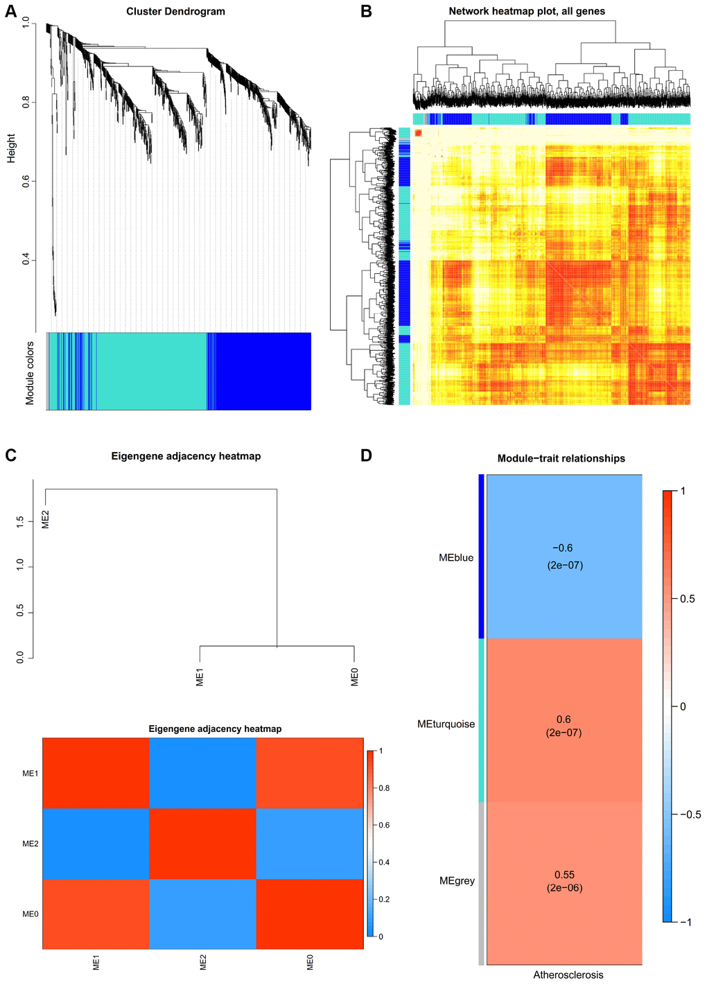 (A) Construction of co-expression modules by weighted gene co-expression network analysis (WGCNA) package in R. The cluster dendrogram of genes in GSE43292. Each branch in the figure represents one gene, and every color below represents one co-expression module. (B) Interaction relationship analysis of co-expression genes. Different colors of horizontal axis and vertical axis represent different modules. The brightness of yellow in the middle represents the degree of connectivity of different modules. There was no significant difference in interactions among different modules, indicating a high-scale independence degree among these modules. (C) Heatmap plot of the adjacencies in the hub gene network. (D) Heatmap of the correlation between module eigengenes and the disease status of atherosclerosis. The turquoise module was the most positively correlated with status, and the blue module was the most negatively correlated with status.