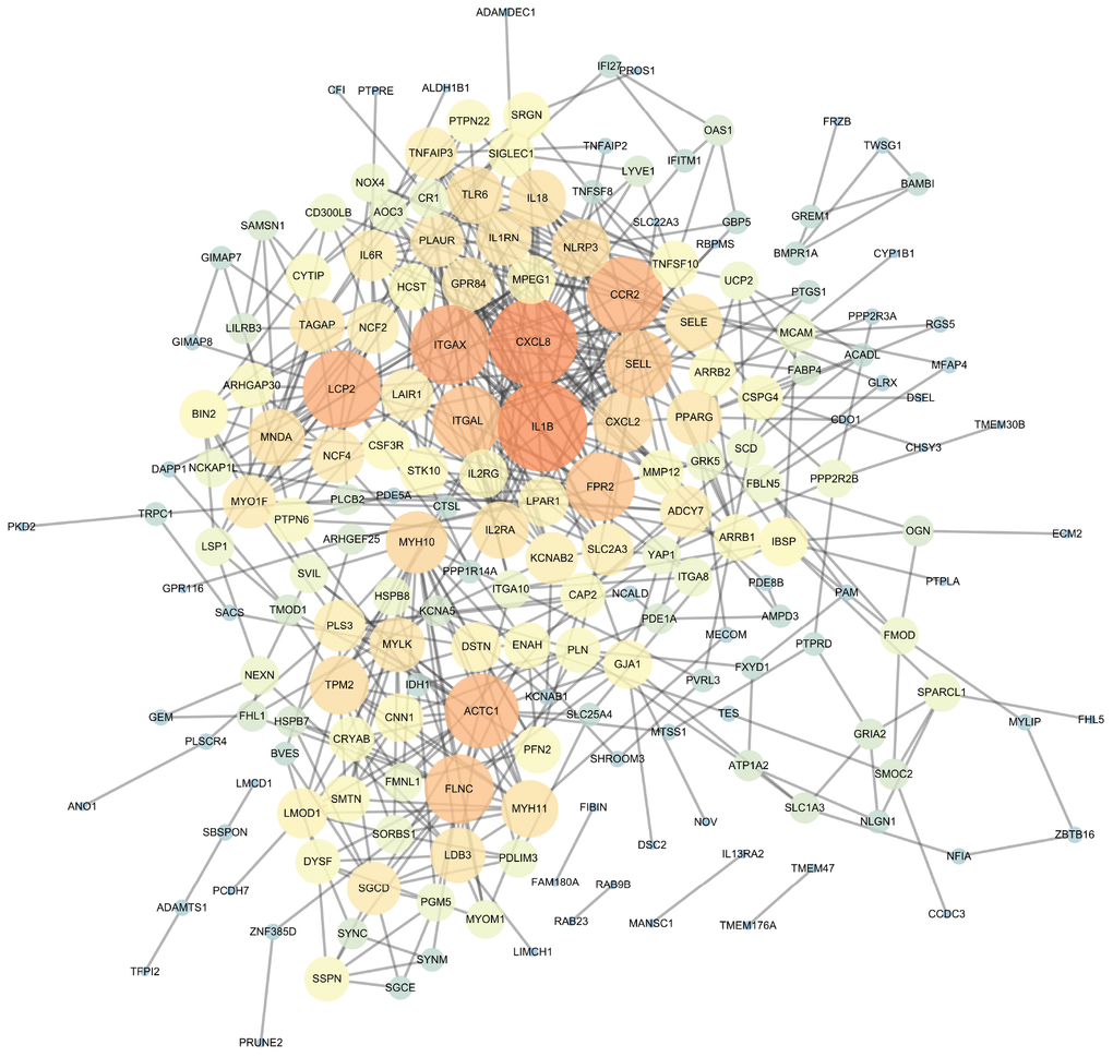 The protein-protein interaction (PPI) network of differentially expressed genes (DEGs).