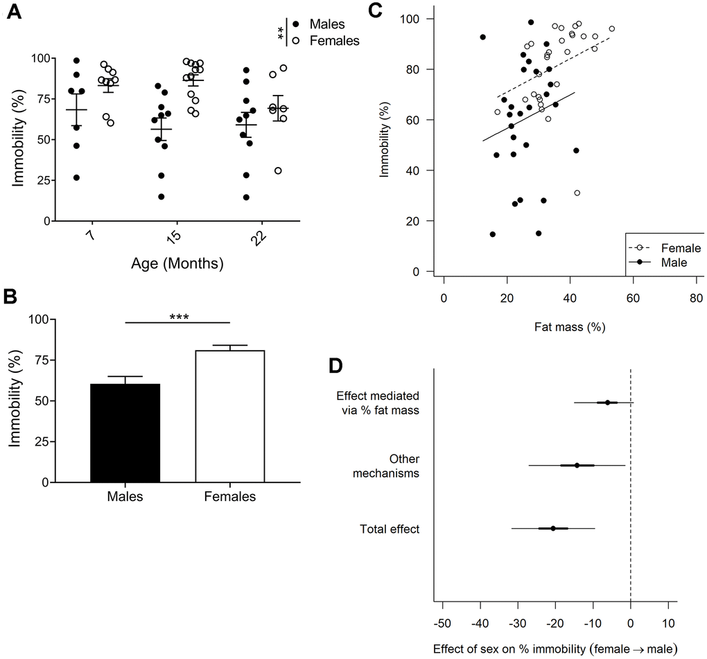 Forced swim test to assay depressive-like behavior. (A) Immobility in the forced swim test is considered an indicator of depressive-like behavior, and F2 hybrid females were found to be more immobile (p=0.0013, 2-way ANOVA), as compared to males. Values are mean ± SEM. (B) Due to no age effect found, all timepoints for each sex were pooled to demonstrate a 20% difference in immobility between females and males (p=0.0002, Mann-Whitney). Values are mean ± SEM. (C) Immobility plotted against fat mass for each animal. Females exhibited increased fat mass as compared to males, and immobility was found to correlate to percent fat mass. The correlation slopes were constrained to be equal since they were not significantly different (p=0.58, ANCOVA). (D) Bayesian mediation analysis separated the total effect of the difference between males and females in the forced swim test into effect mediated by fat mass or by unknown mechanisms. The sex difference in fat mass accounts for 30% of the sex difference in immobility (Bayesian p=0.96) and other mechanisms account for the remaining 70% (Bayesian p=0.99; Bayesian mediation analysis). Values are mean ±50% (thick lines) and 95% confidence interval (thin lines); nM7=7, nM15=10, nM22=10, nF7=9, nF15=12, nF22=7.