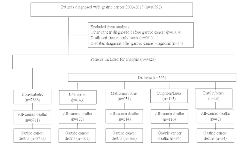 Study flow chart of gastric cancer patients with type 2 diabetes undergoing medical treatment and without.