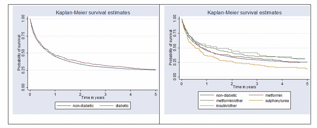 Kaplan-Meier survival curves comparing gastric cancer-specific survival between non-diabetic and diabetic patients (p = 0.29) and by antihyperglycemic medication user group (p=0.013).