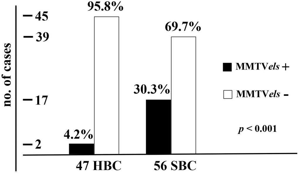 Frequency of MMTVels in 47 HBC and 56 SBC. HBC cases are positive for MMTVels only in 4.2%, whereas positive SBC cases are 30.3%, with a p els: MMTV env-like sequence.