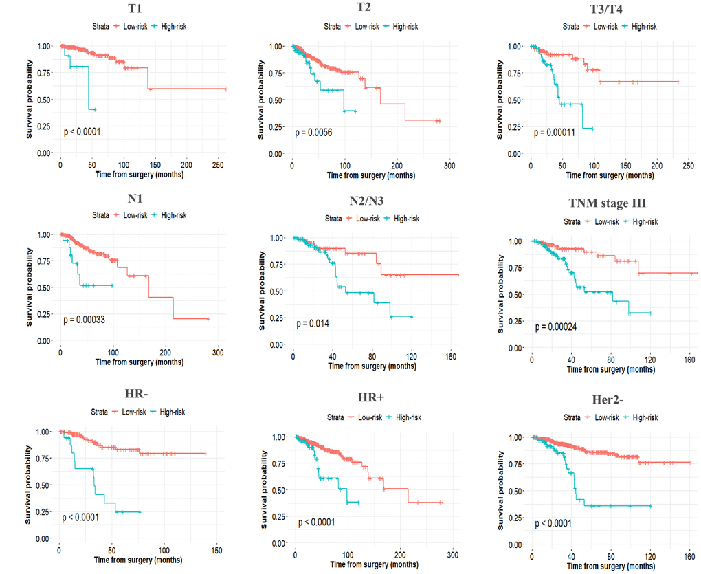 Stratified analysis of the miRNA-based prognostic model for breast cancer patients in T stage, N stage, TNM stage, HR, and Her2 status.