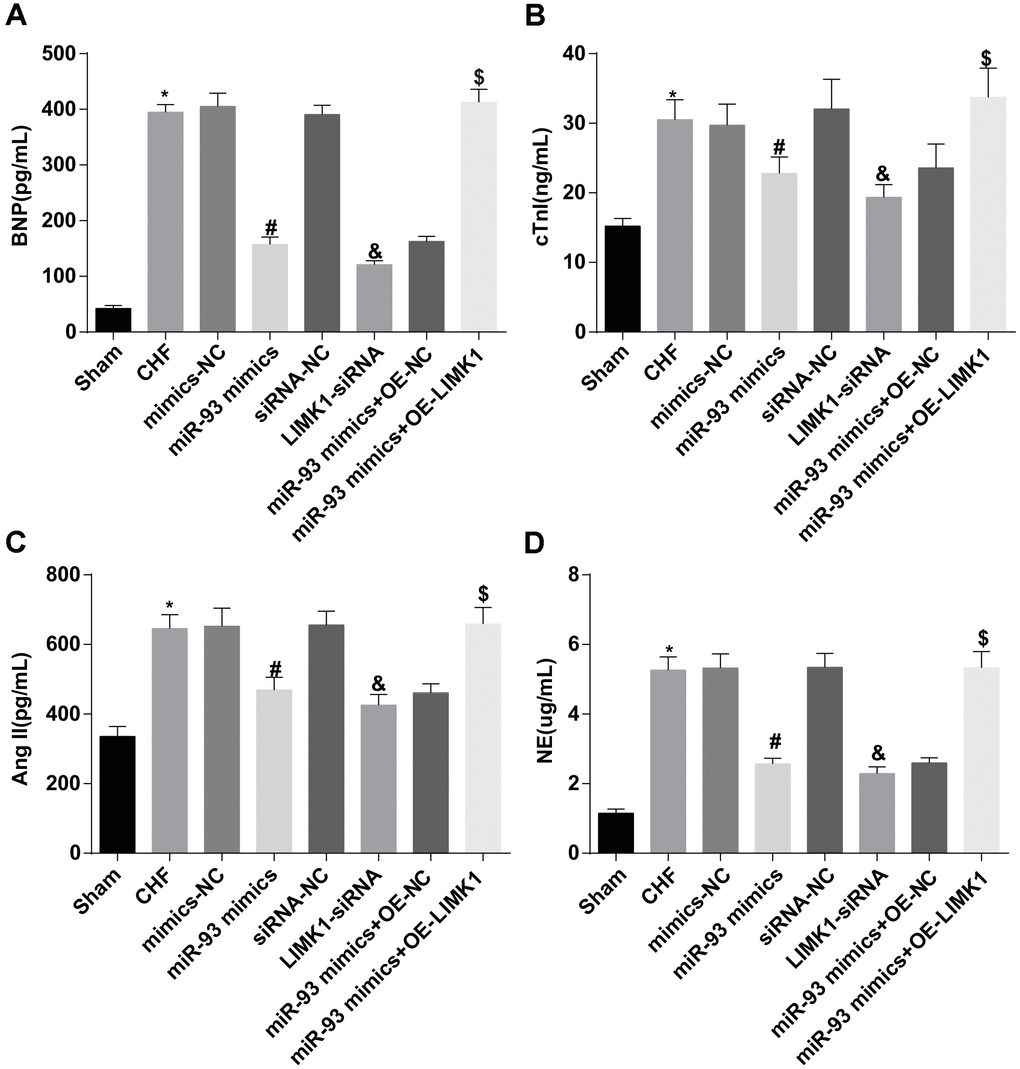 BNP, cTnI, AngII and NE levels were reduced by up-regulation of miR-93 or downregulation of LIMK1. (A) Comparison of plasma BNP levels in each group of rats; (B) Comparison of plasma cTnI levels in each group; (C) Comparison of plasma AngII levels in each group; (D) Comparison of NE levels in plasma of each group; *P P P 