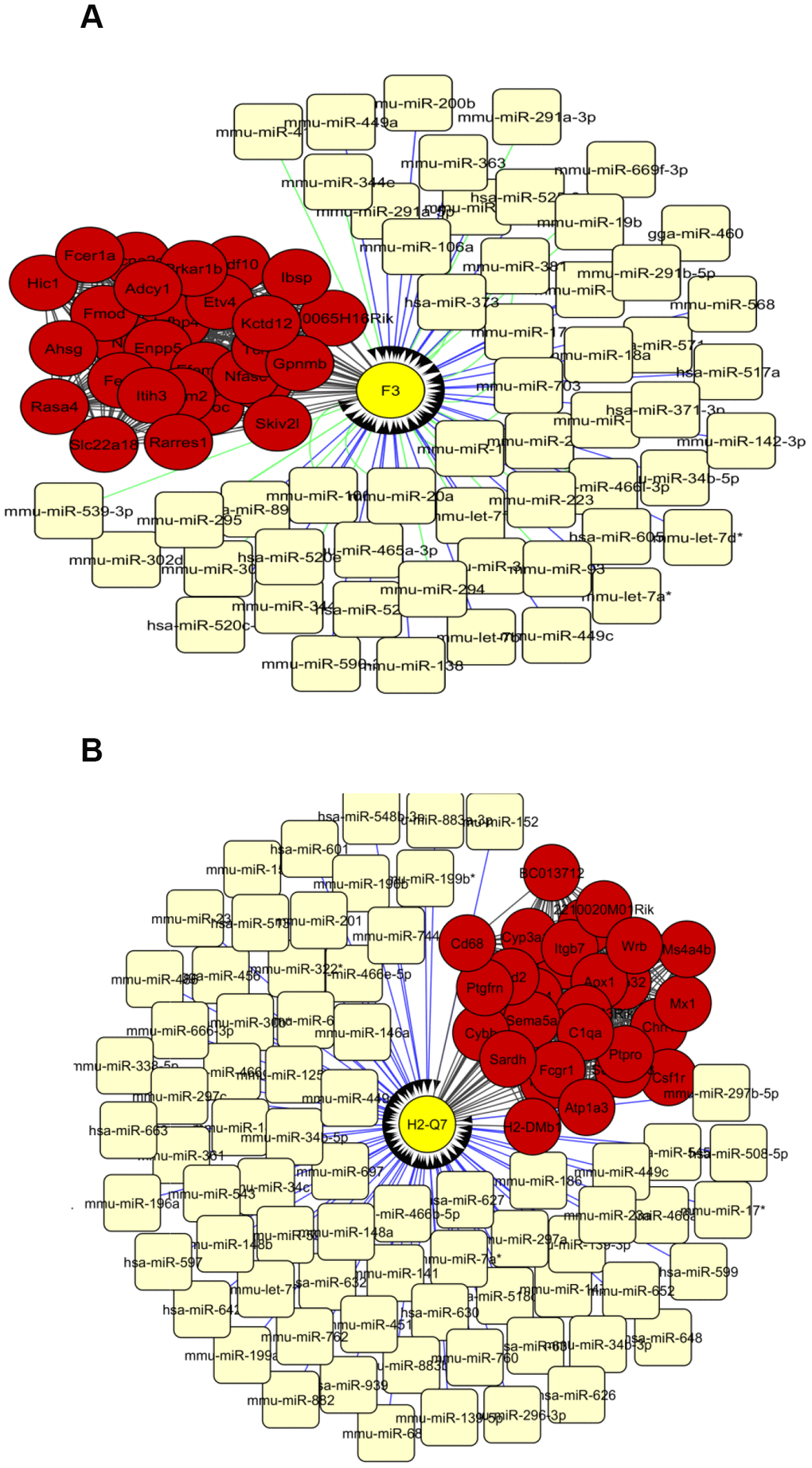 The network of top 30 interconnected genes in the turquoise (A) and blue (B) modules and predicted miRNAs from TargetScan and Microcosm. The hub genes are shown in red and miRNAs in light yellow. mRNA-miRNA interactions from TargetScan and Microcosm are shown in green and blue lines respectively. Yellow circles show the genes that are putatively regulated by miRNAs.